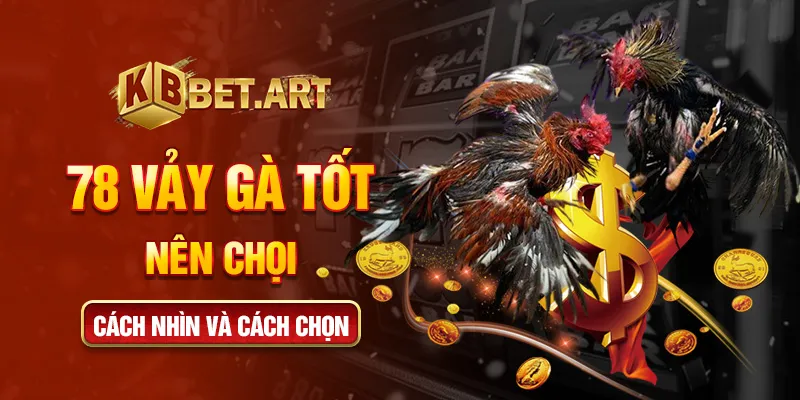 78 vảy gà tốt nên chọi