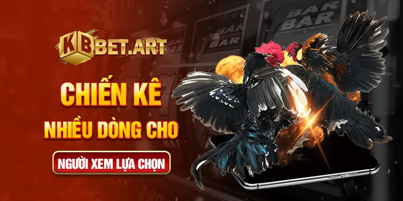 Chiến kê nhiều dòng cho người xem lựa chọn