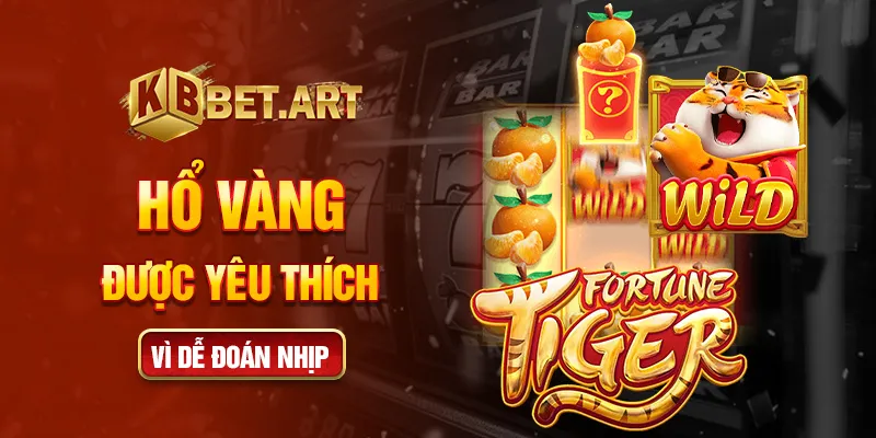 Hổ vàng được yêu thích vì dễ đoán nhịp