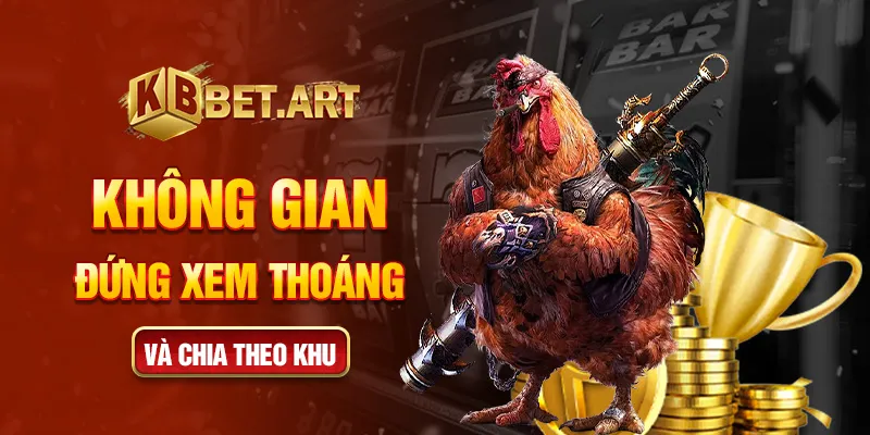 Không gian đứng xem thoáng và chia theo khu