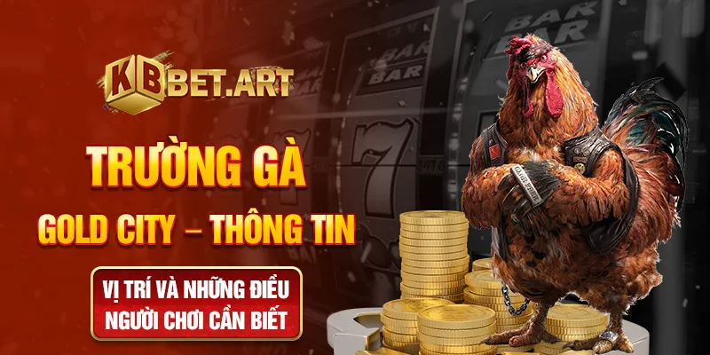 trường gà gold city